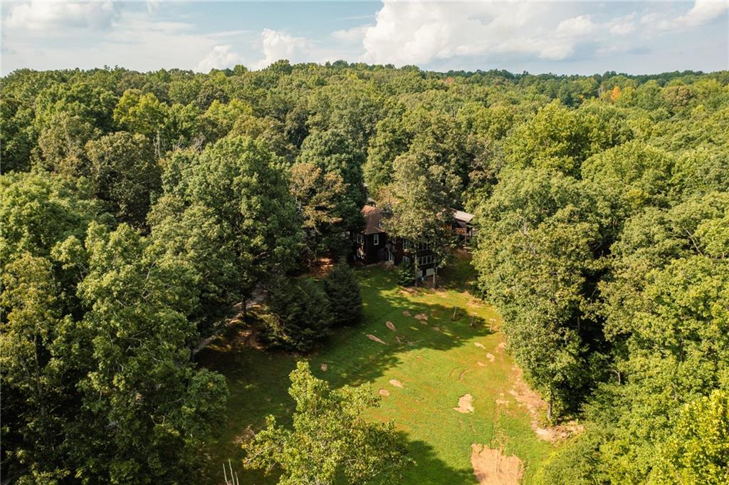 9975 Ball Ground Highway Property Photo 3
