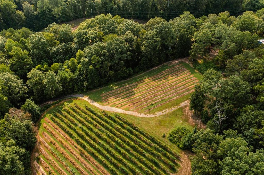 9975 Ball Ground Highway Property Photo 7