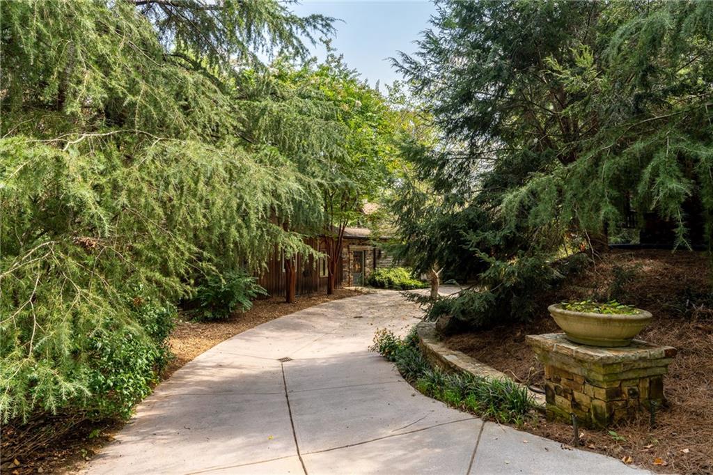 9975 Ball Ground Highway Property Photo 10