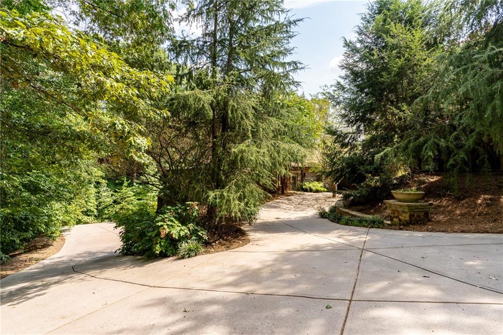 9975 Ball Ground Highway Property Photo 11