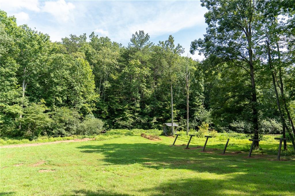 9975 Ball Ground Highway Property Photo 19