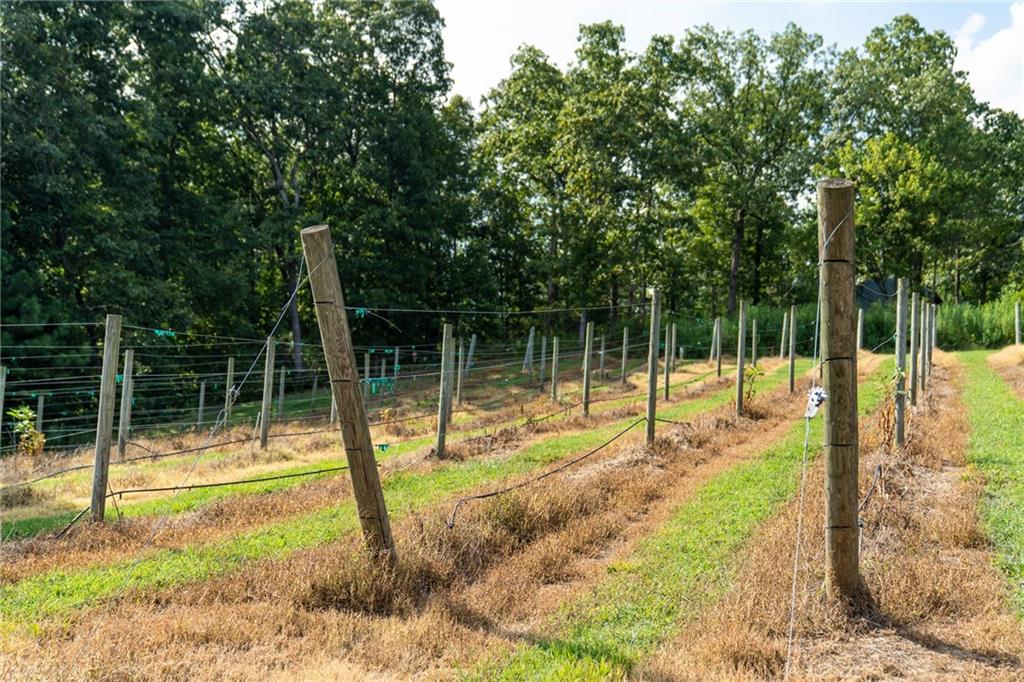 9975 Ball Ground Highway Property Photo 20