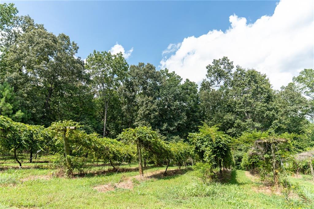 9975 Ball Ground Highway Property Photo 24