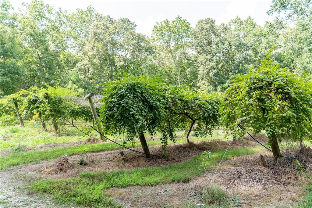 9975 Ball Ground Highway Property Photo 26