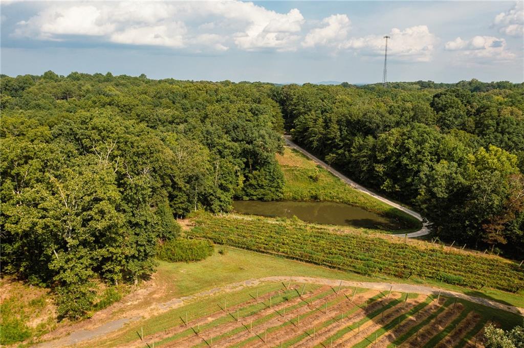 9975 Ball Ground Highway Property Photo 32