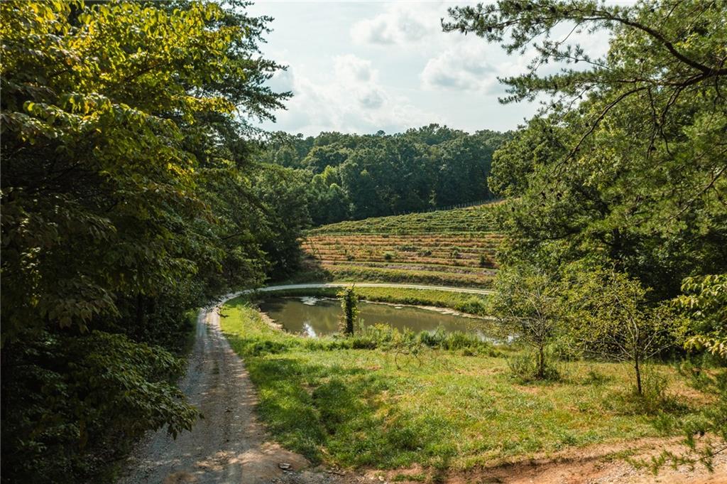 9975 Ball Ground Highway Property Photo 34