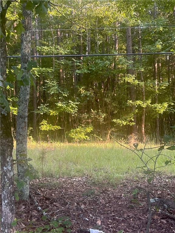 0 Taylorsville Road Property Photo 1