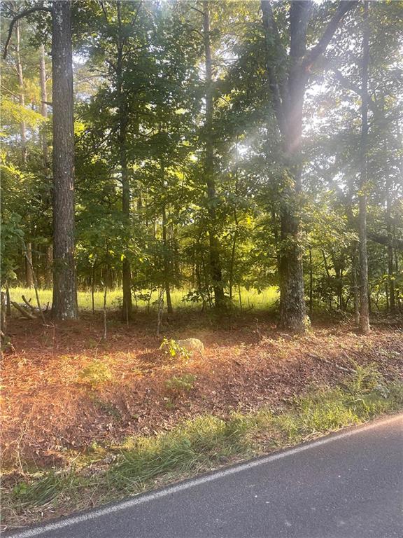 0 Taylorsville Road Property Photo 2