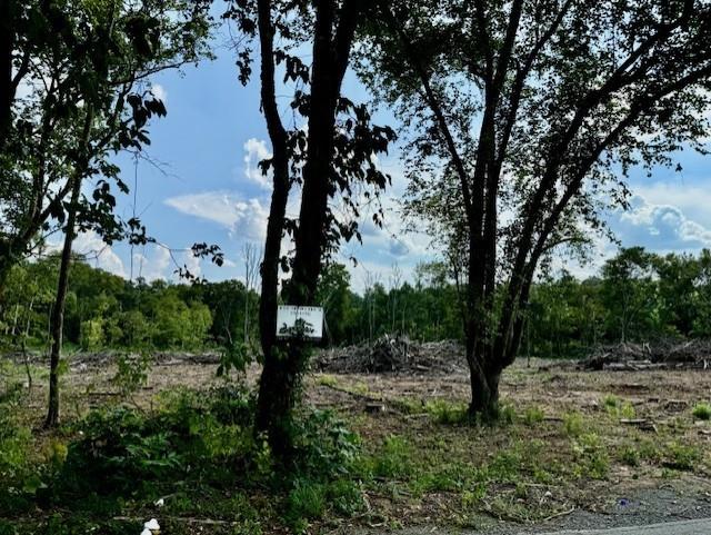 0 Joe Frank Harris Parkway NW Property Photo 1