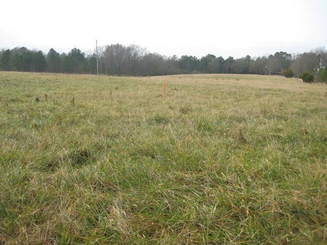 0 Cajun Lane Property Photo 9