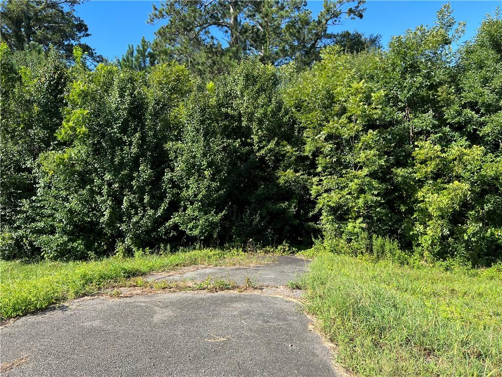 0 Highway 61 Property Photo 7
