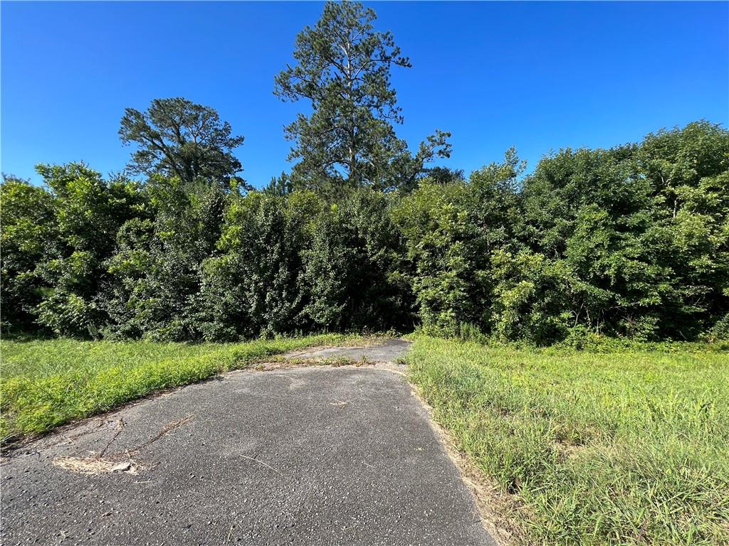 0 Highway 61 Property Photo 8