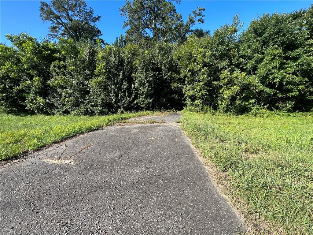 0 Highway 61 Property Photo 11