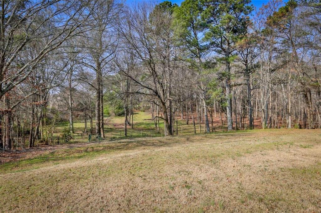 3460 Hwy 81 Property Photo 3