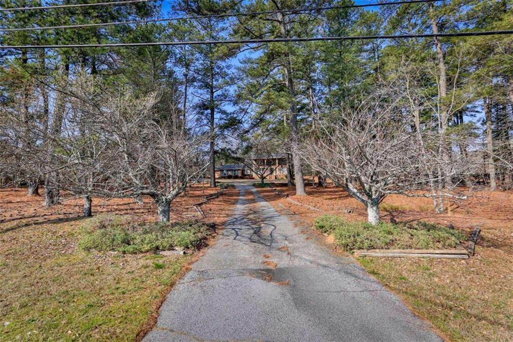 3460 Hwy 81 Property Photo 4