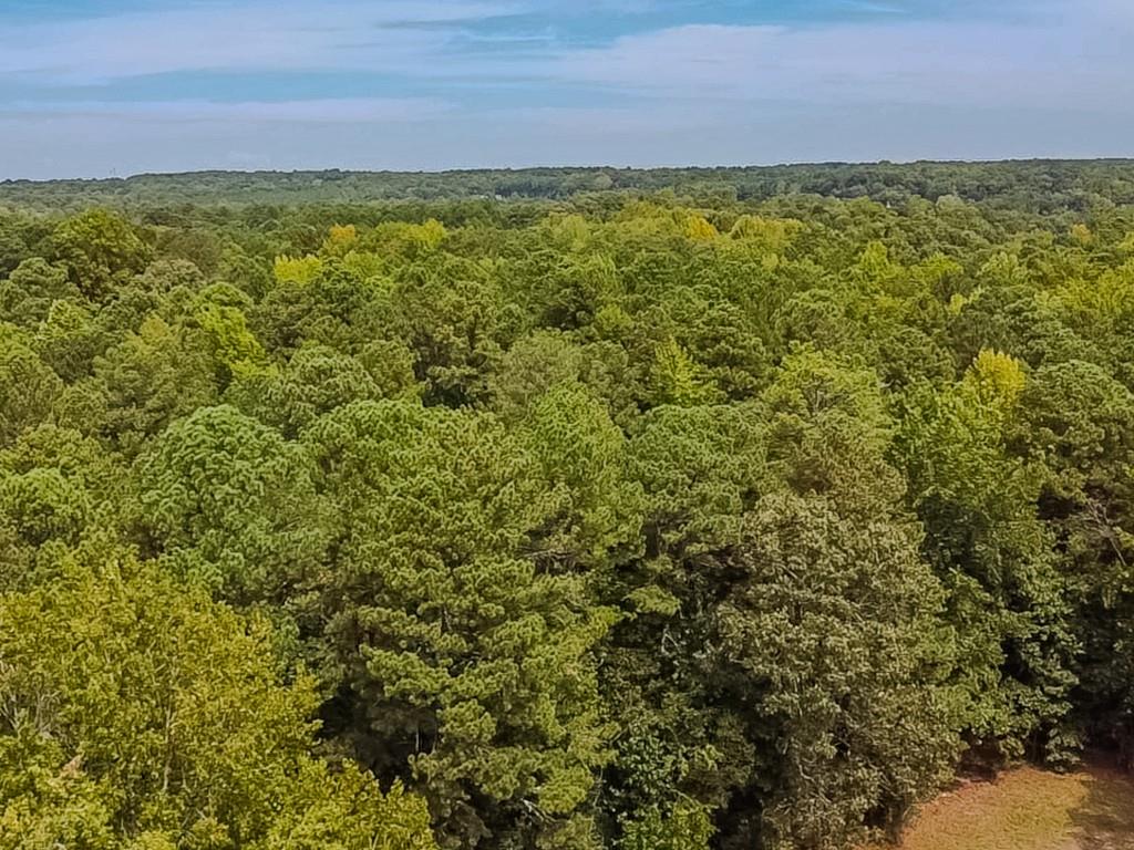 1152 Harbins Road Property Photo 22