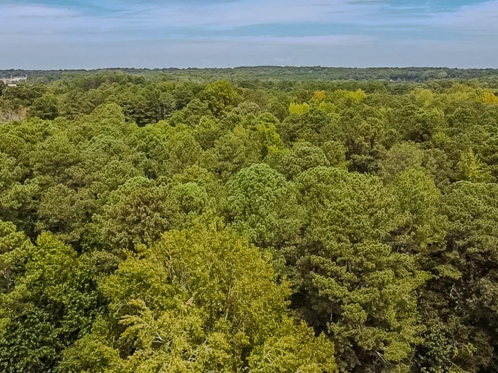 1152 Harbins Road Property Photo 25