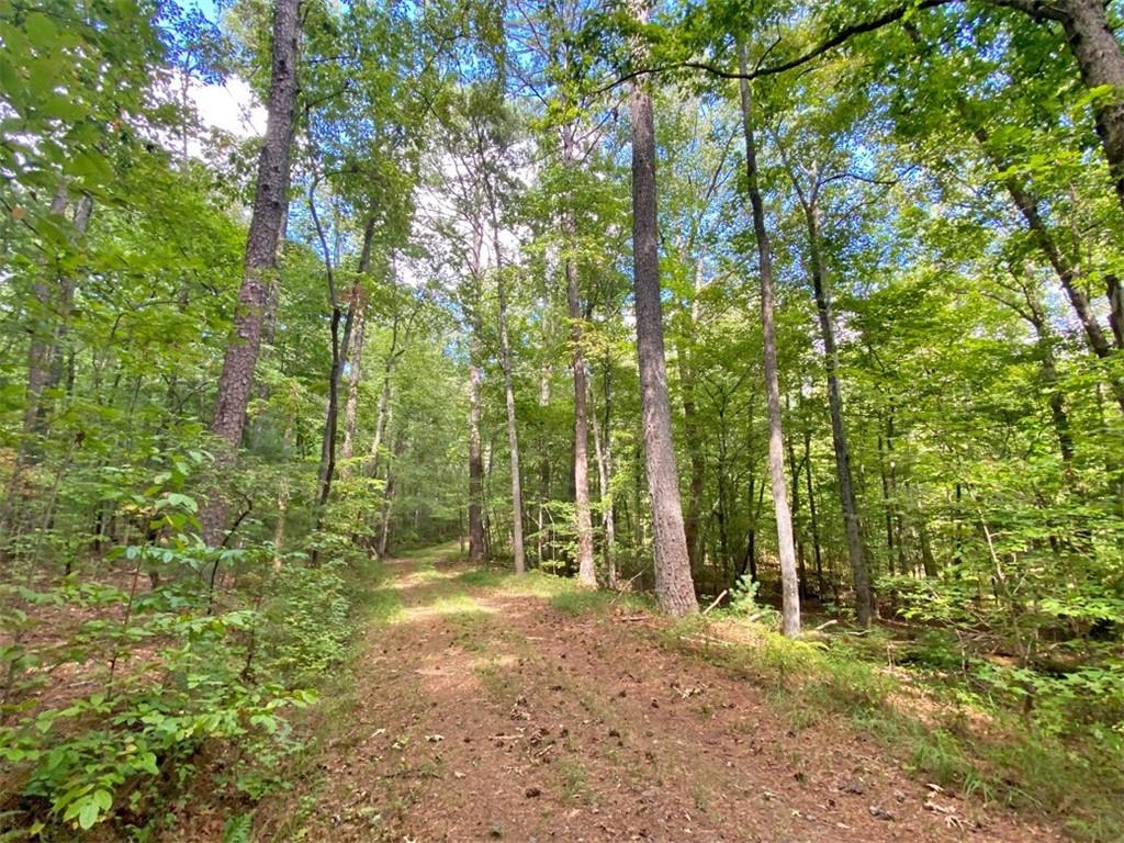 153ac White Path Road Property Photo 1