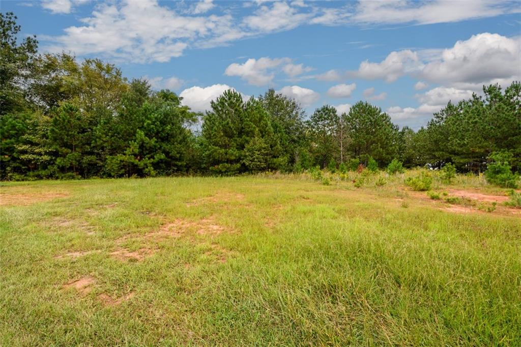 1 Point Drive Property Photo 4