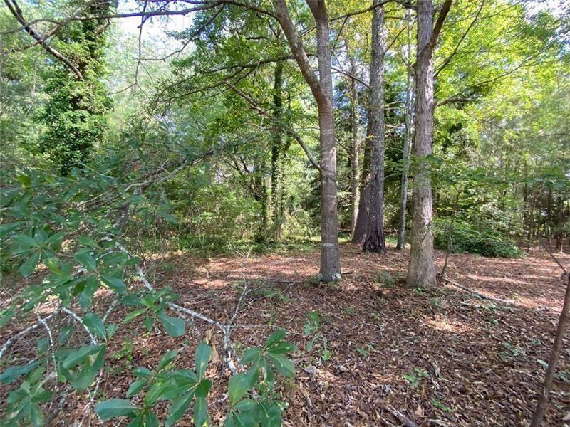 466 Hwy 81 Property Photo 1