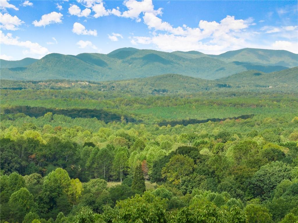 25 Long Mountain Trail Property Photo 1