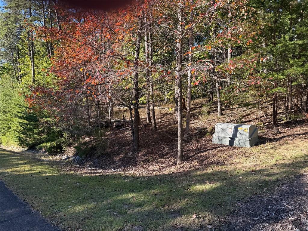 258 Westwind Court Property Photo 5