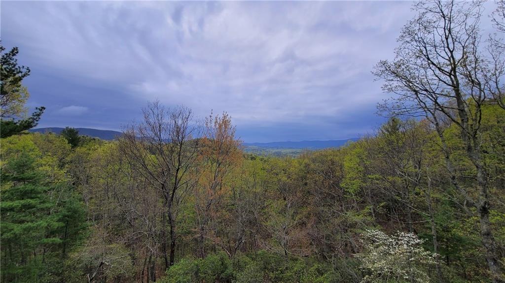 1012 Wild Turkey Bluff Property Photo 2