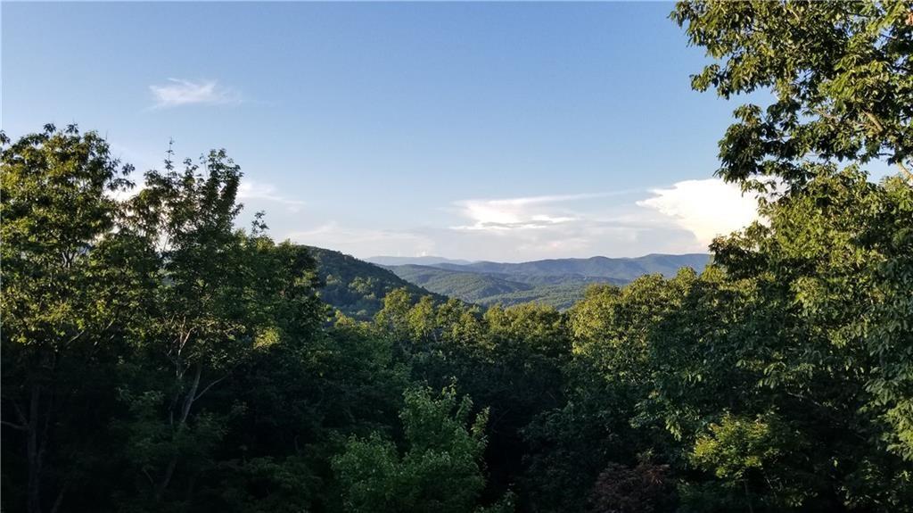1012 Wild Turkey Bluff Property Photo 3