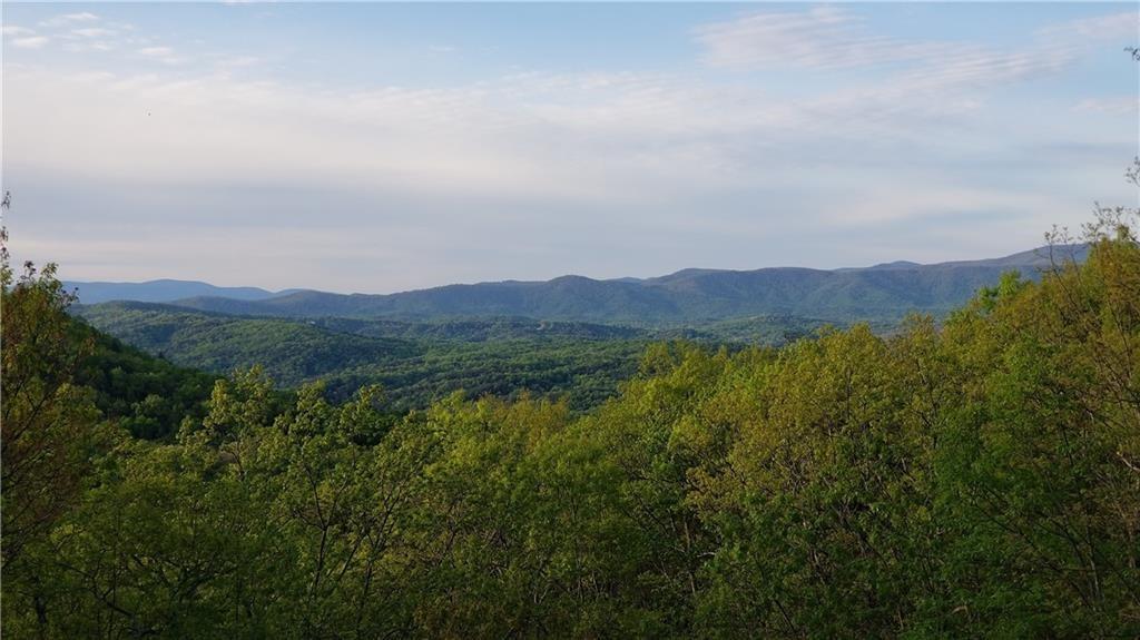 1012 Wild Turkey Bluff Property Photo 4
