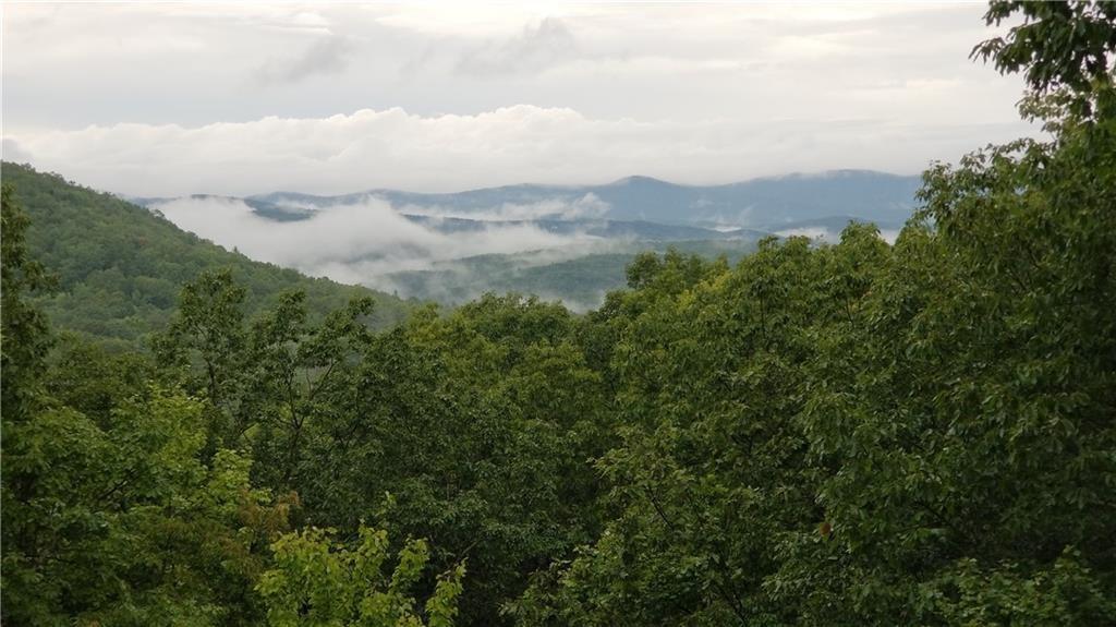 1012 Wild Turkey Bluff Property Photo 5