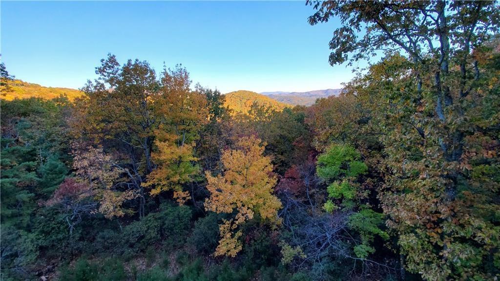 1012 Wild Turkey Bluff Property Photo 6