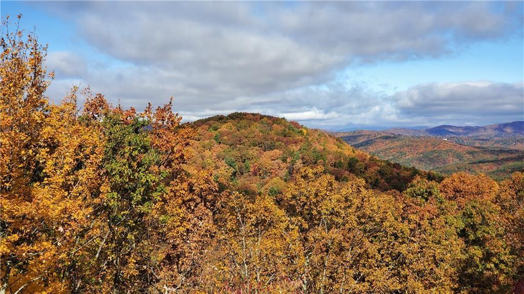 1012 Wild Turkey Bluff Property Photo 7