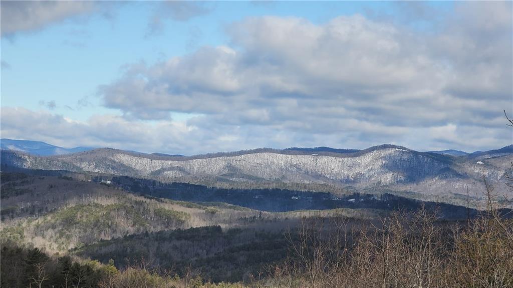 1012 Wild Turkey Bluff Property Photo 9