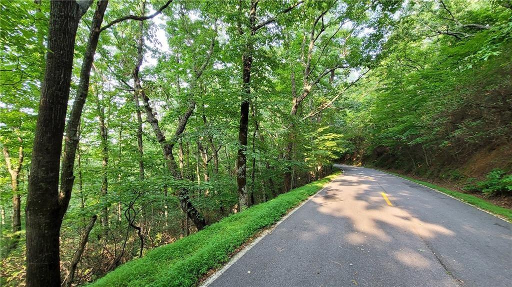 1012 Wild Turkey Bluff Property Photo 11
