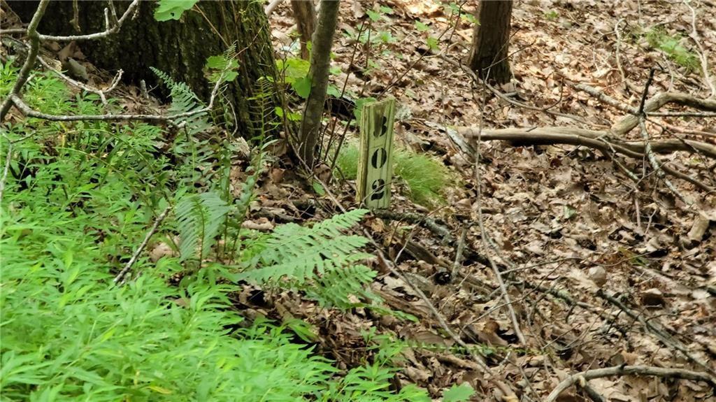 1012 Wild Turkey Bluff Property Photo 12