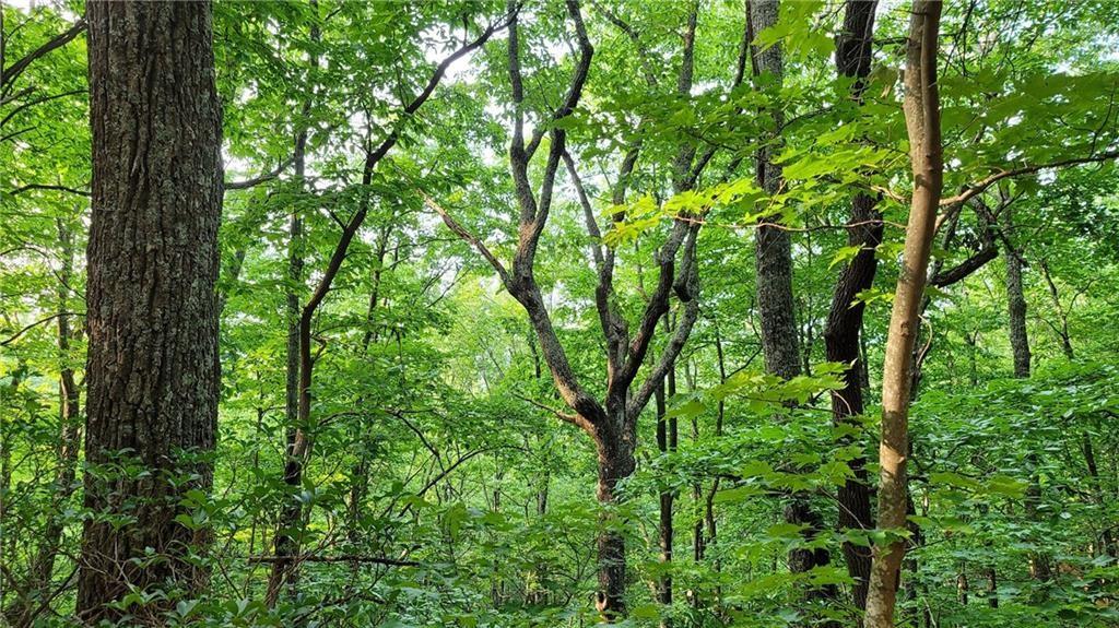 1012 Wild Turkey Bluff Property Photo 13