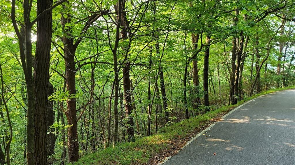 1012 Wild Turkey Bluff Property Photo 14