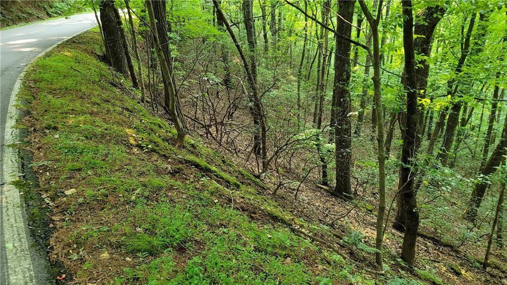 1012 Wild Turkey Bluff Property Photo 15