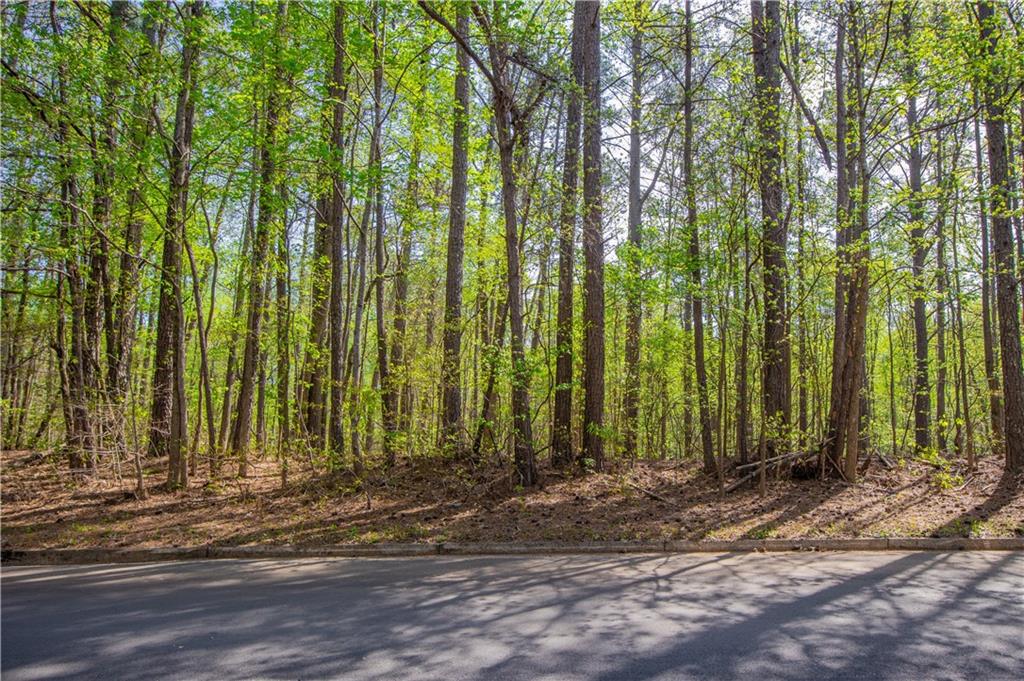 0 Lake Esther Drive Property Photo 1