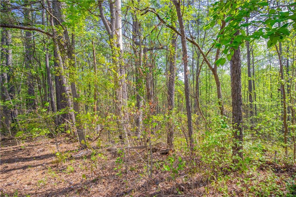 0 Lake Esther Drive Property Photo 1