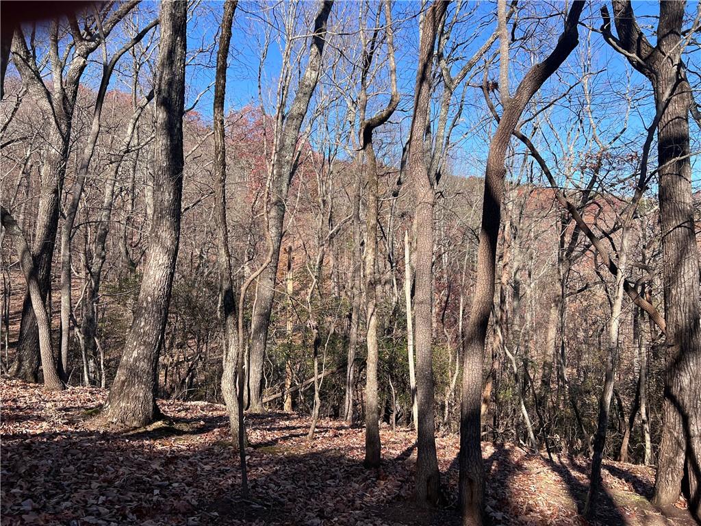 4412 Bee Tree Ridge Drive Property Photo 1