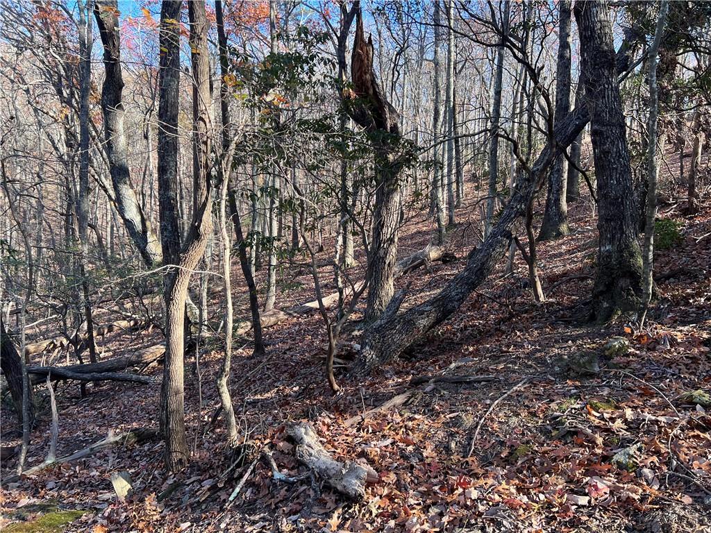 4412 Bee Tree Ridge Drive Property Photo 2