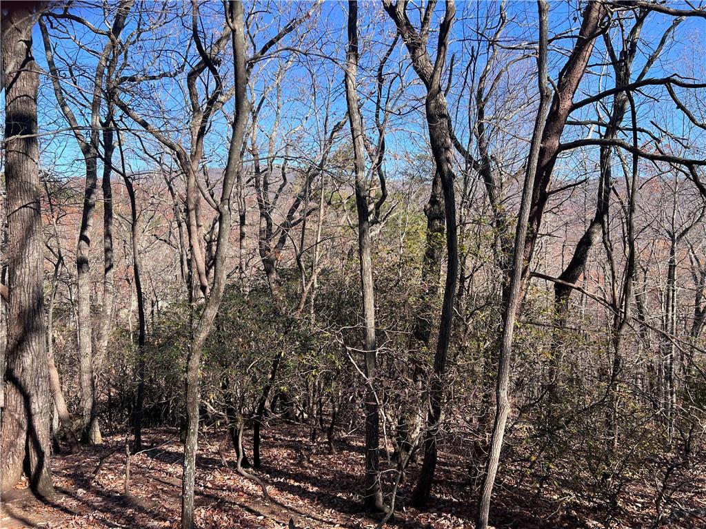 4412 Bee Tree Ridge Drive Property Photo 4