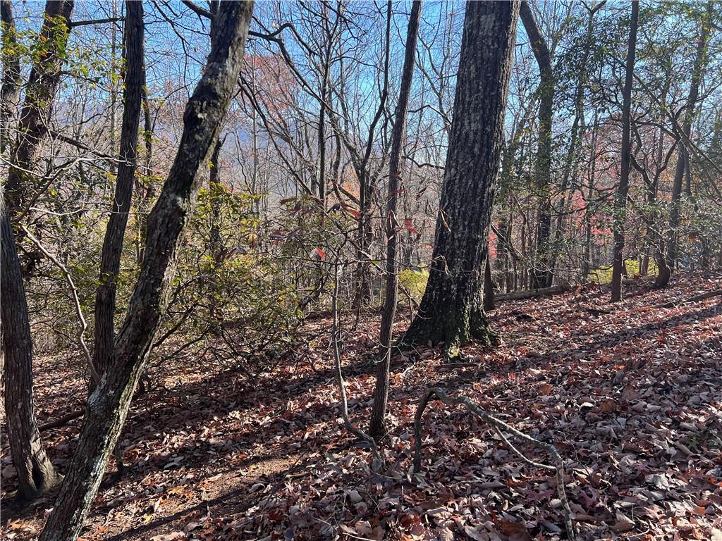 4412 Bee Tree Ridge Drive Property Photo 5