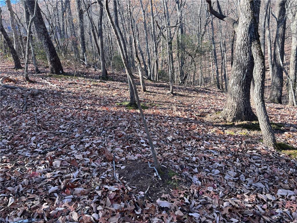 4412 Bee Tree Ridge Drive Property Photo 6
