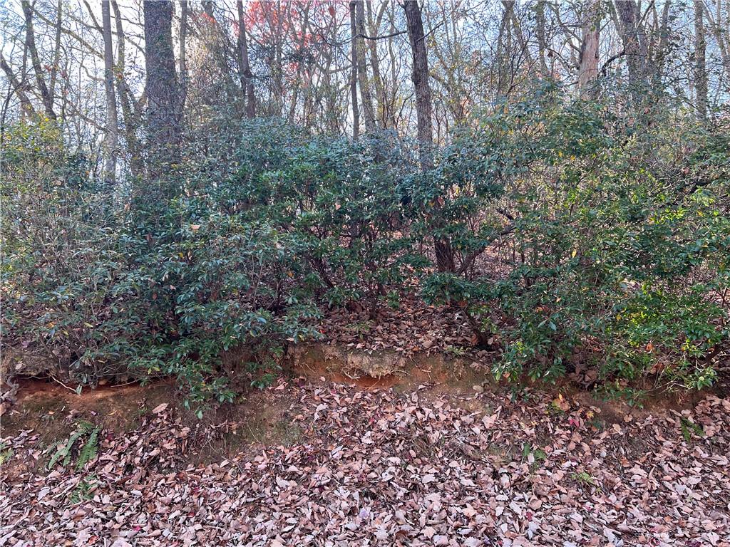 4412 Bee Tree Ridge Drive Property Photo 7