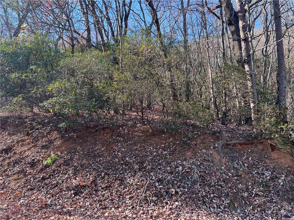 4412 Bee Tree Ridge Drive Property Photo 9