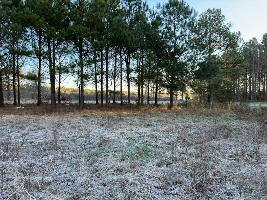 00 Sandy Cross Road Property Photo