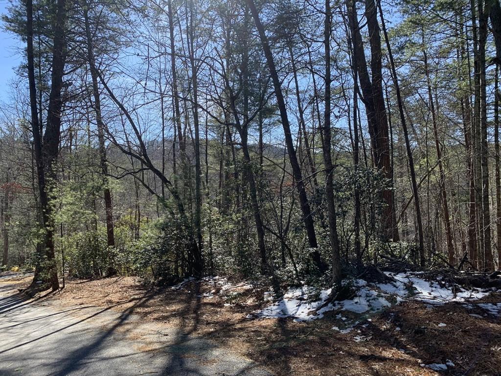 0 Pinecrest Road Property Photo 1