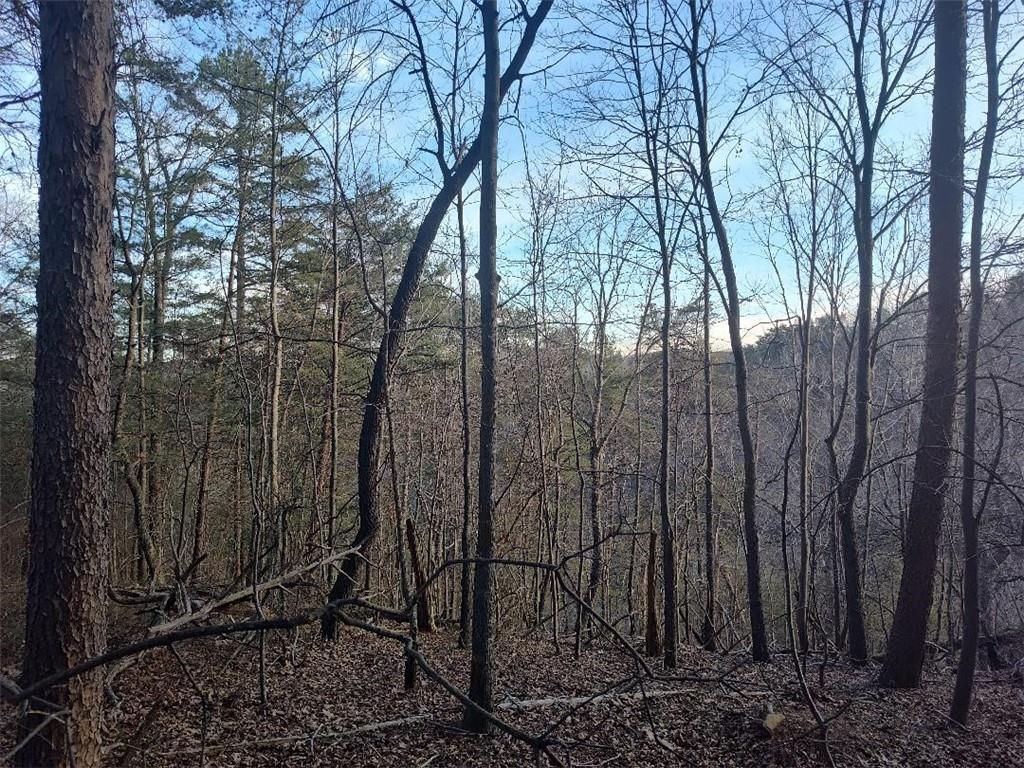1058 Mayfield Lane Property Photo 1